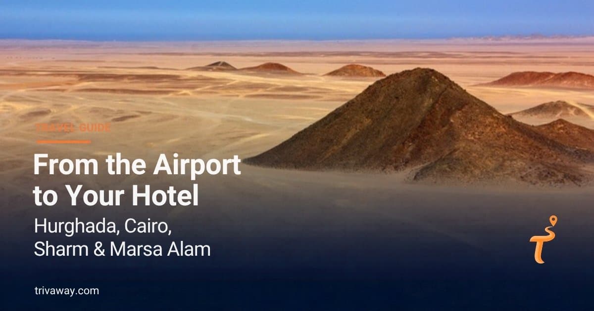 Z lotniska do hotelu: Hurghada, Kair, Szarm i Marsa Alam