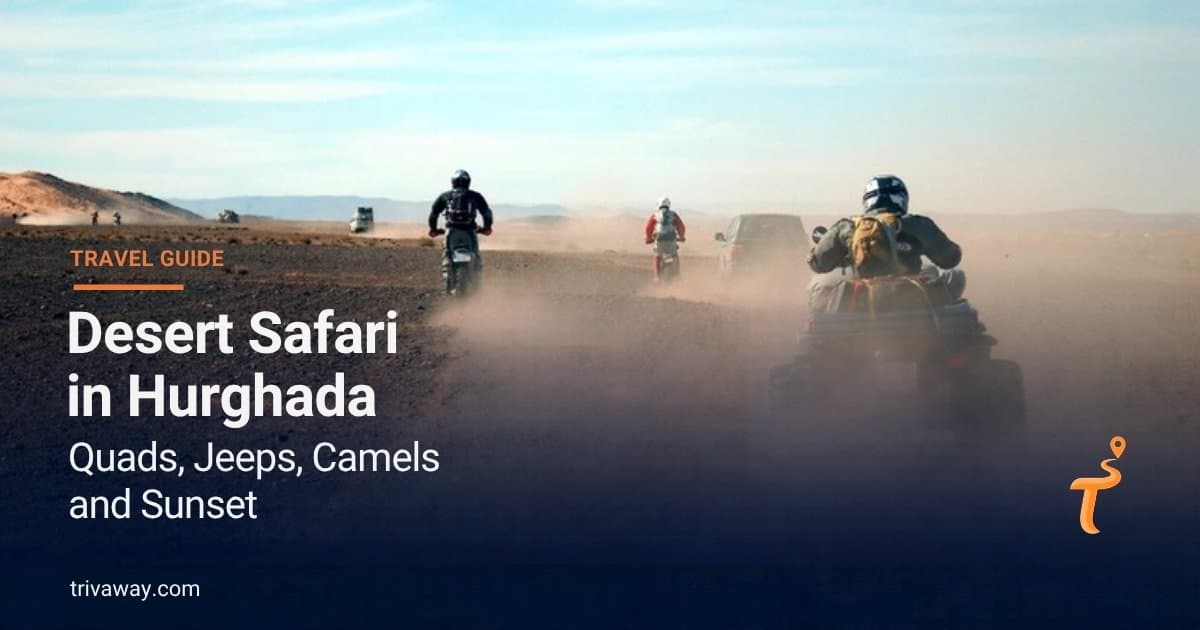 Wüstensafari in Hurghada — Quad, Jeep, Kamel und Sonnenuntergang erklärt