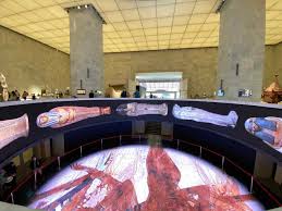 National Museum of Egyptian Civilization