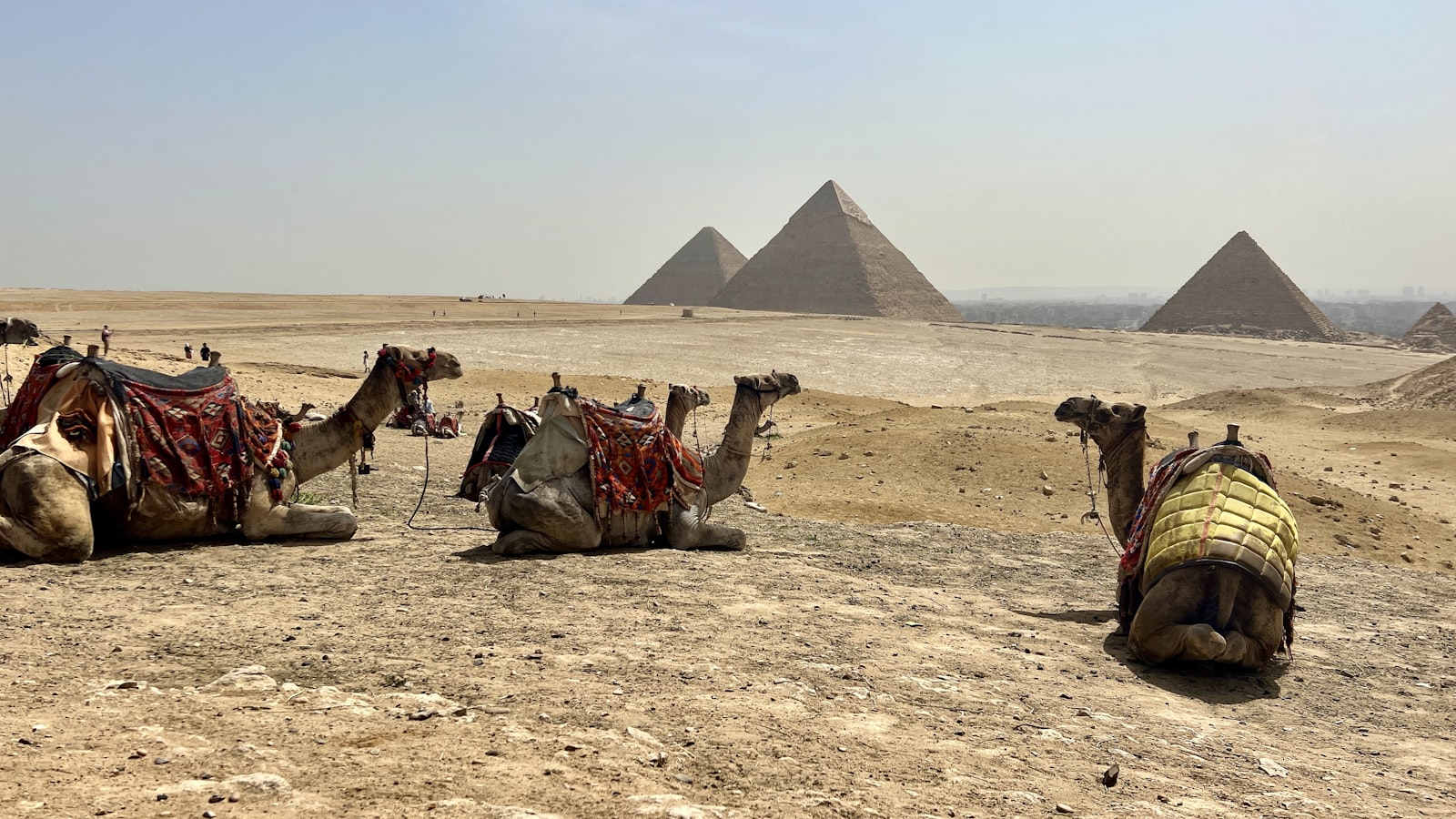 Giza Pyramids Half-Day Tour