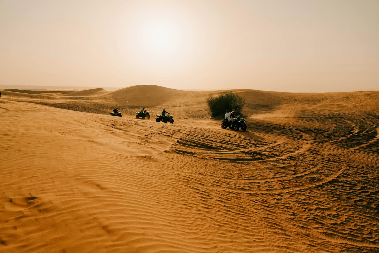 Desert Safari Trip with Quad Bikes and Camel Ride