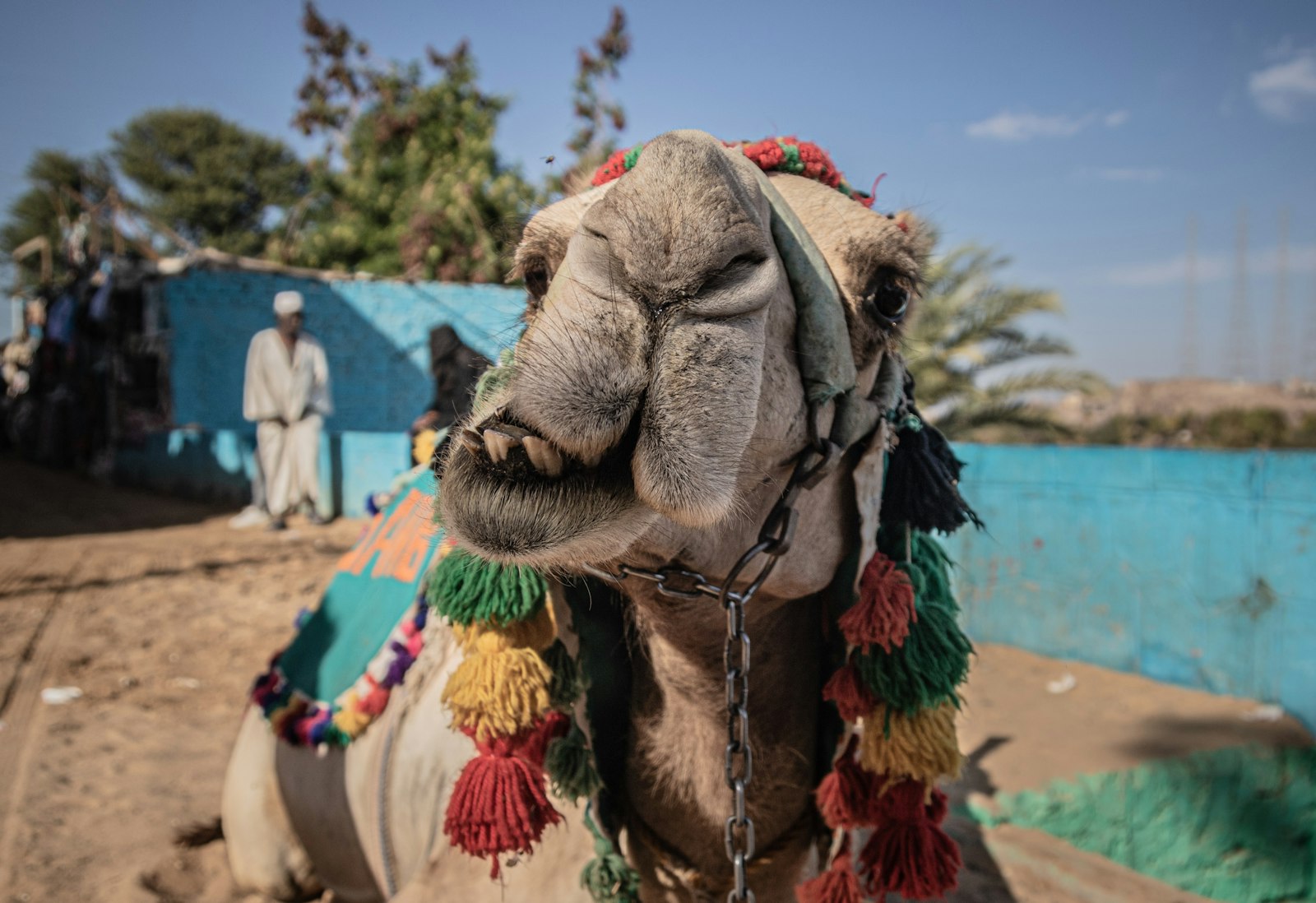 Nubian Village Visit
